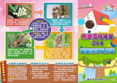 荔枝椿象化學防治1